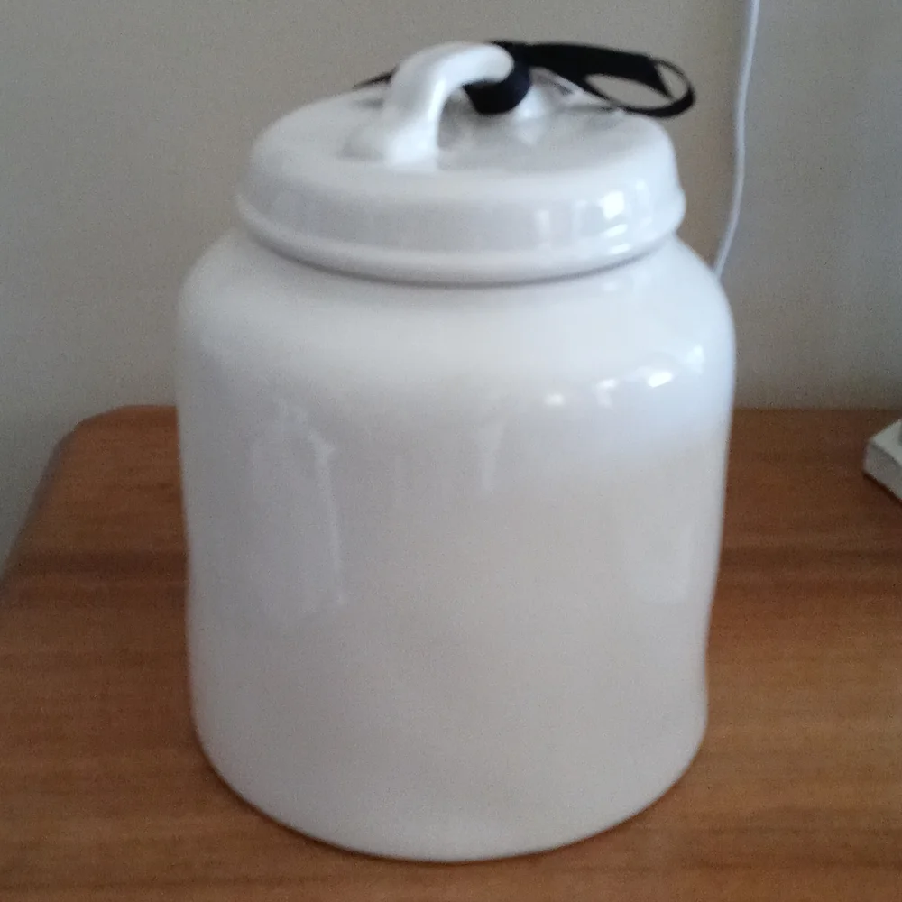 Tom and Jerry cookie jar